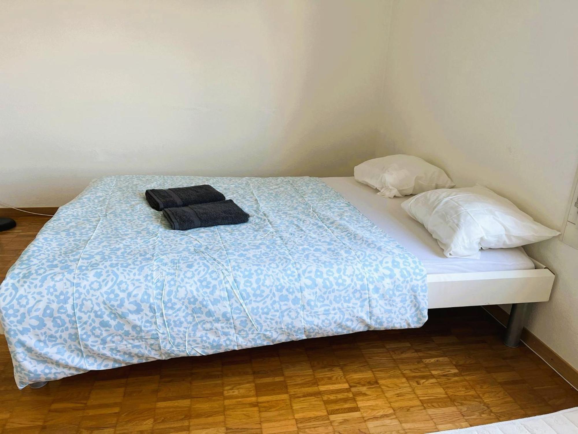 Huge Apartments, Multiple Bedrooms With Balcony In Center - Self Checkin Lucerne