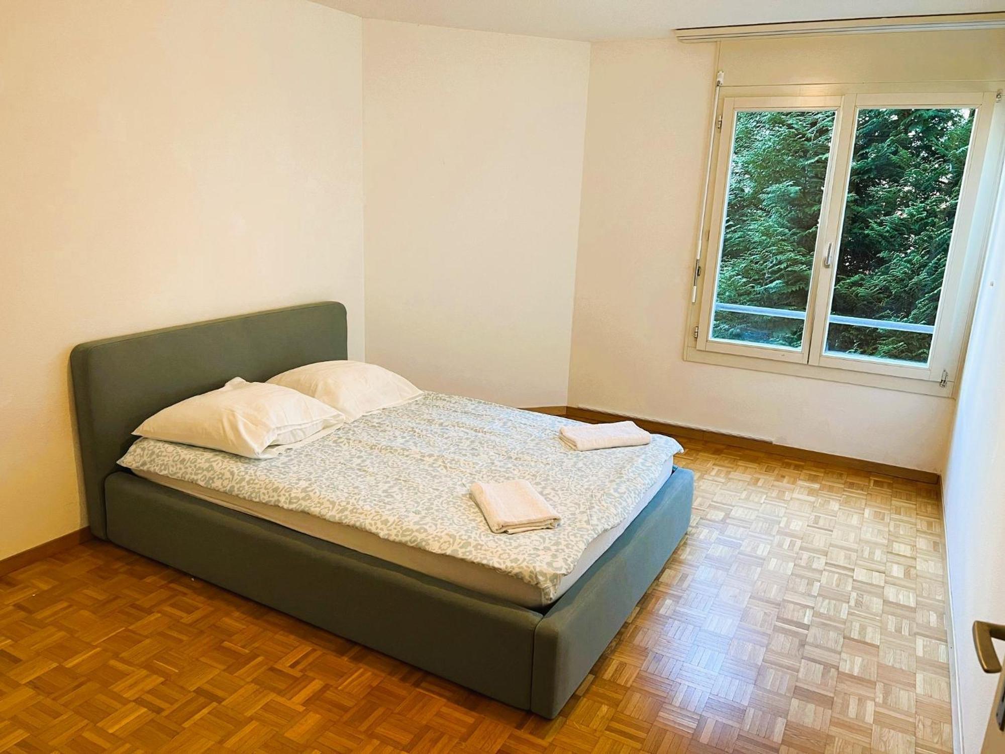 Huge Apartments, Multiple Bedrooms With Balcony In Center - Self Checkin Lucerne