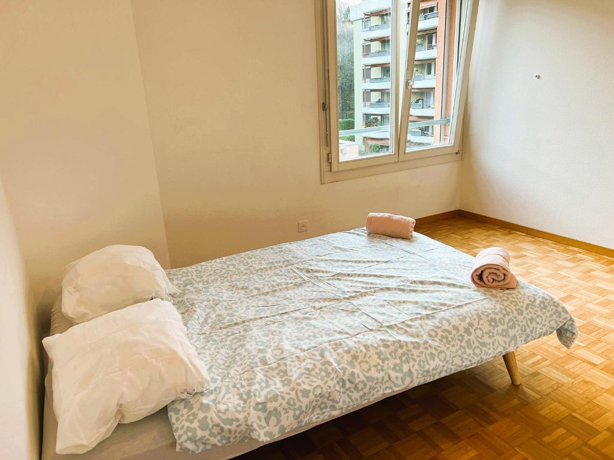 Huge Apartments, Multiple Bedrooms With Balcony In Center - Self Checkin Lucerne